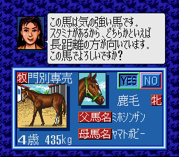Winning Post screenshot 4 for Sega Saturn
